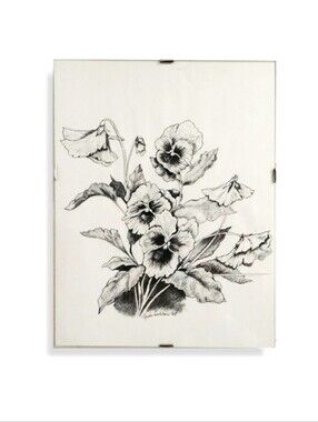 Original Signed Pansies Graphite Drawing 2005 | Framed Floral Sketch
